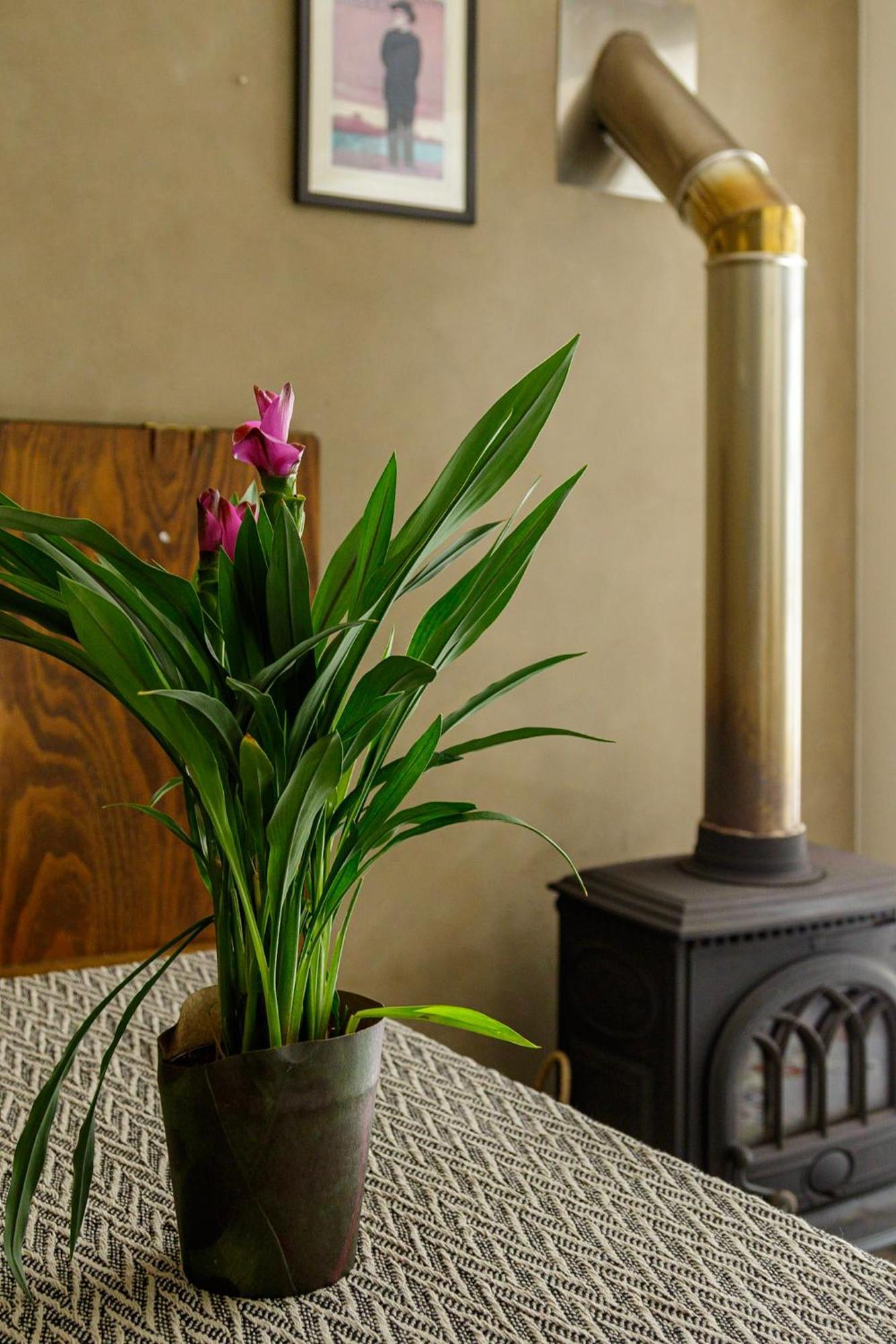 Holiday home Kommetjie's Sandy Shores Cape Town